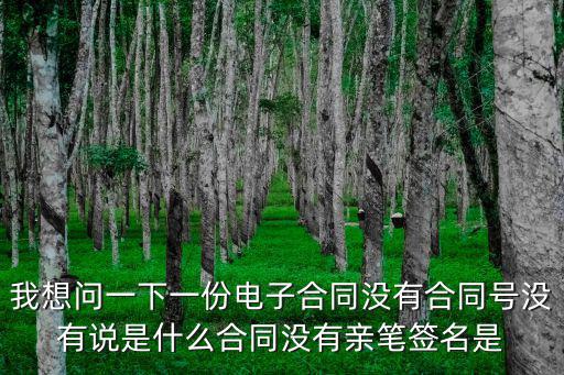 我想問(wèn)一下一份電子合同沒(méi)有合同號(hào)沒(méi)有說(shuō)是什么合同沒(méi)有親筆簽名是