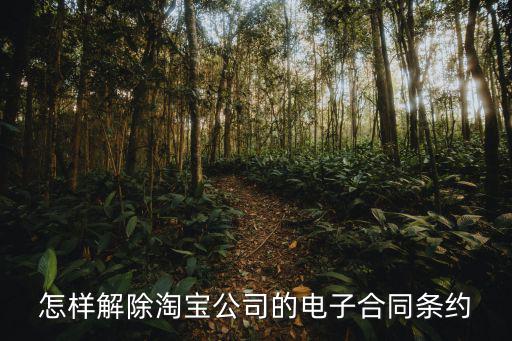 怎樣解除淘寶公司的電子合同條約