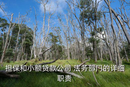 正規(guī)法務(wù)公司處理網(wǎng)貸，親們給有匯中最新消息我逾期3個月了有一個自稱匯中法務(wù)部的叫