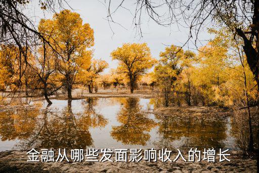 金融從哪些發(fā)面影響收入的增長