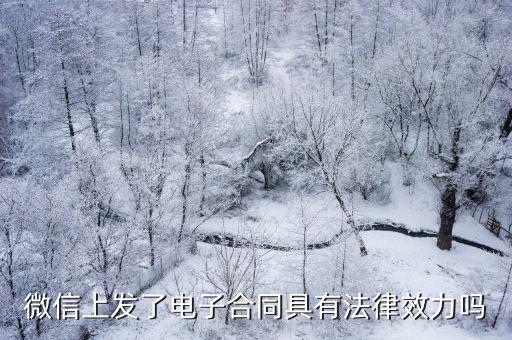 微信上發(fā)了電子合同具有法律效力嗎