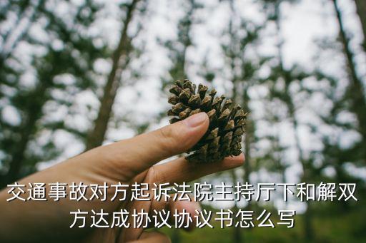 和解協(xié)議書范本怎么寫，我與某公司有經(jīng)濟(jì)糾紛現(xiàn)雙方同義和解協(xié)議書應(yīng)該怎么