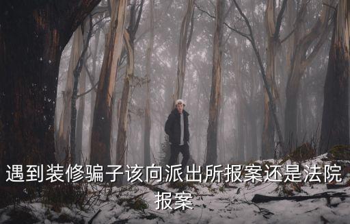 遇到裝修騙子該向派出所報(bào)案還是法院報(bào)案