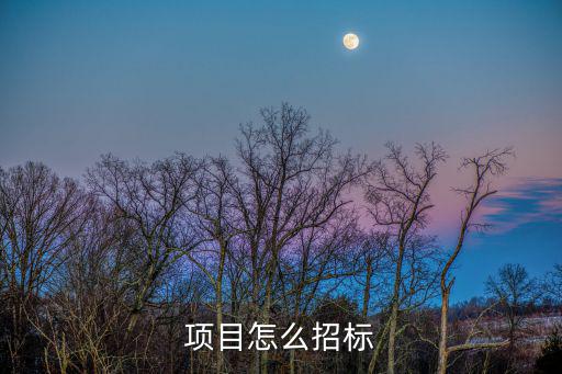 項目怎么招標