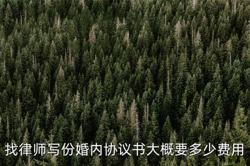 找律師寫份婚內(nèi)協(xié)議書大概要多少費用