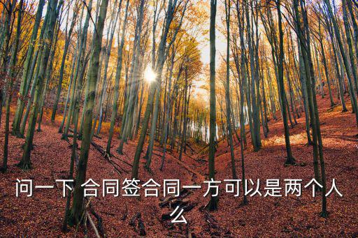問(wèn)一下 合同簽合同一方可以是兩個(gè)人么