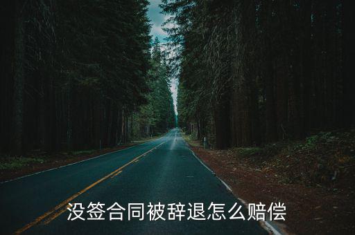 沒(méi)簽合同被辭退怎么賠償