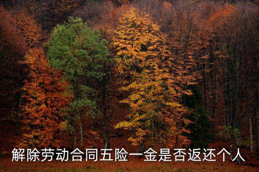 解除勞動合同五險一金是否返還個人