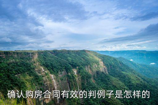 確認(rèn)購房合同有效的判例子是怎樣的