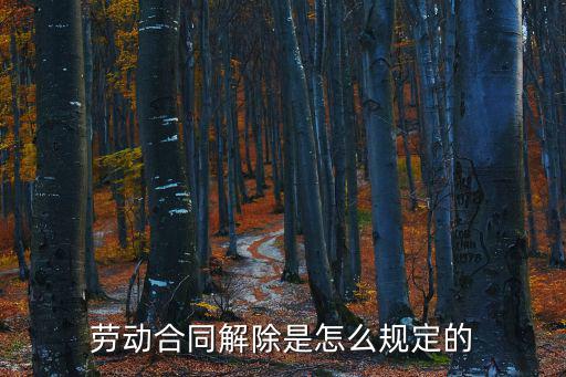 勞動合同解除是怎么規(guī)定的