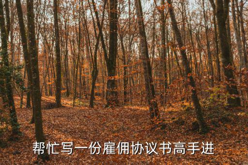幫忙寫一份雇傭協(xié)議書高手進