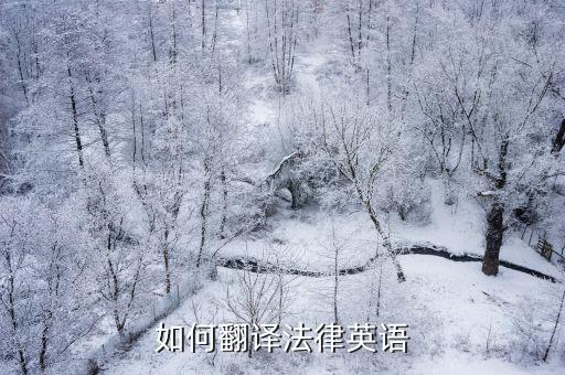 如何翻譯法律英語