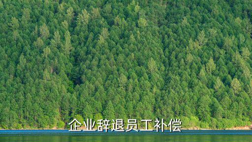 企業(yè)辭退員工補(bǔ)償
