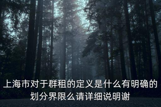 上海最新整治群租規(guī)定，上海40平一室一廳2人住兩人認(rèn)識(shí)算群租嗎條款里說(shuō)不得