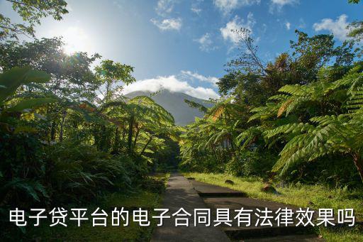 電子版借款合同有法律效力嗎，電子貸平臺(tái)的電子合同具有法律效果嗎