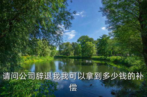 請(qǐng)問(wèn)公司辭退我我可以拿到多少錢的補(bǔ)償