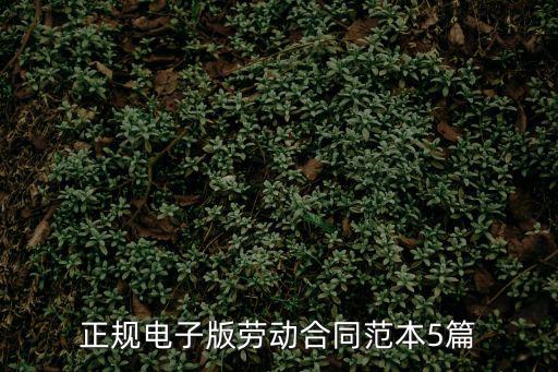 勞動合同模板 電子版，哪里有正式的勞動合同范本