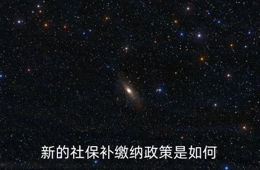 新的社保補(bǔ)繳納政策是如何