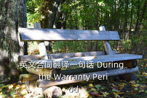 英文合同翻譯一句話 During the Warranty Period