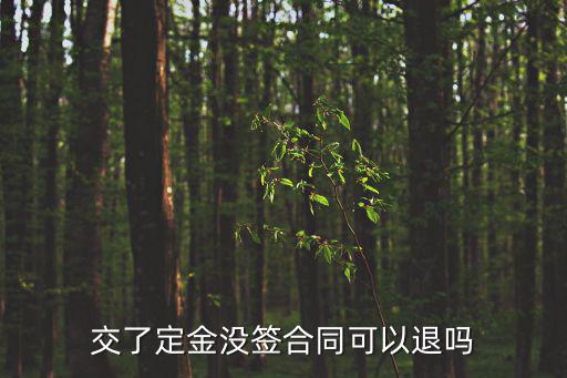 付了定金沒簽合同能不能退，交了定金雙方合同沒寫可以退定嗎