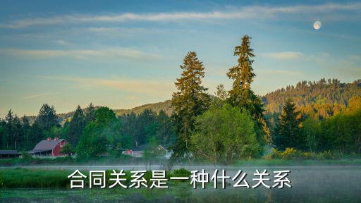 合同關(guān)系是一種什么關(guān)系