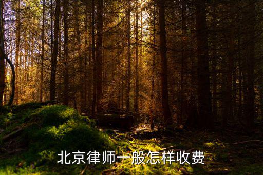 北京律師收費標準2022，北京律師收費標準是多少