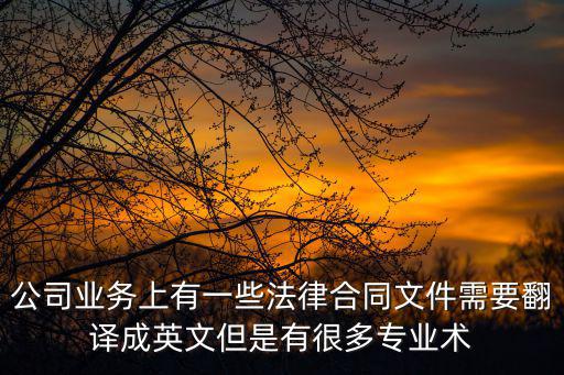 公司業(yè)務(wù)上有一些法律合同文件需要翻譯成英文但是有很多專業(yè)術(shù)