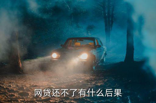網(wǎng)貸還不了有什么后果