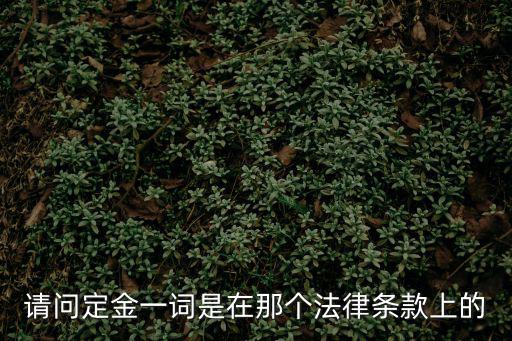 請(qǐng)問定金一詞是在那個(gè)法律條款上的