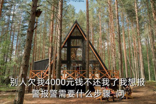 別人欠我4000元錢(qián)不還我了我想報(bào)警報(bào)警需要什么步驟  問(wèn)