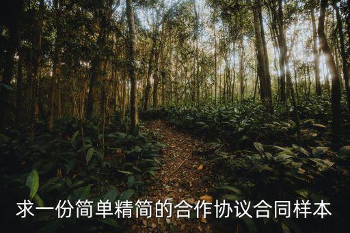 雙方合作合同書(shū)協(xié)議書(shū)圖片，合作協(xié)議書(shū)