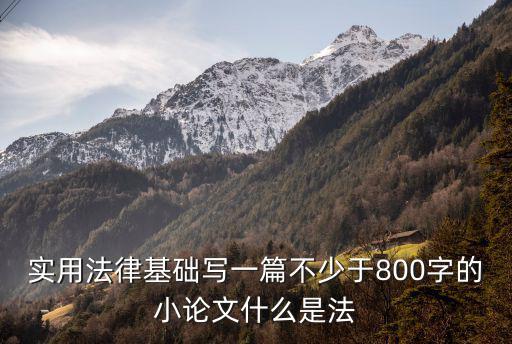 實用法律基礎(chǔ)寫一篇不少于800字的小論文什么是法