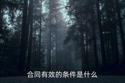 合同有效的條件是什么