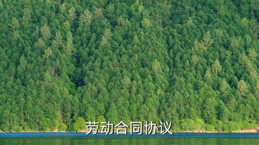 勞動(dòng)合同協(xié)議