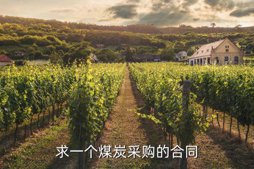 求一個(gè)煤炭采購(gòu)的合同