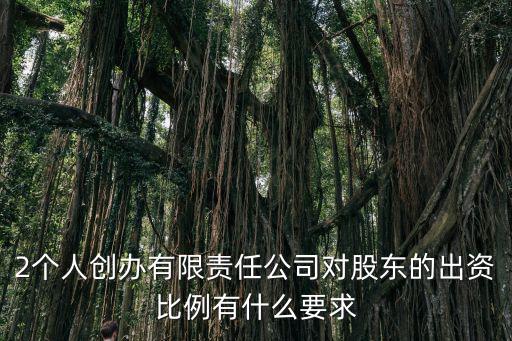 2個人創(chuàng)辦有限責(zé)任公司對股東的出資比例有什么要求