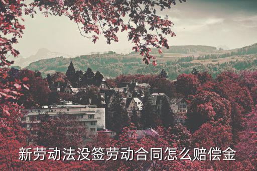 不簽訂勞動合同怎么賠償，新勞動法沒簽勞動合同怎么賠償金