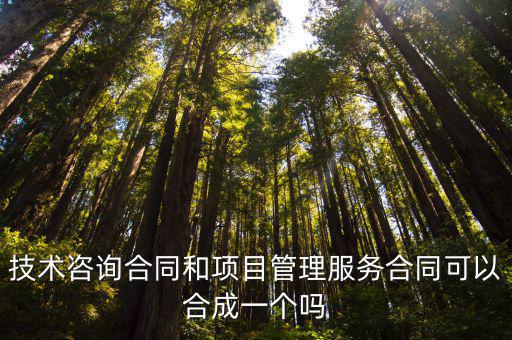項(xiàng)目咨詢服務(wù)合同，咨詢合同是否有效
