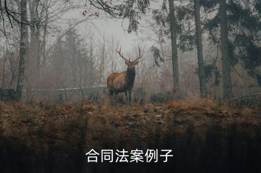 合同法案例子