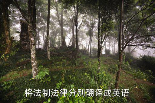 與法律相關(guān)的英語詞匯，將法制法律分別翻譯成英語