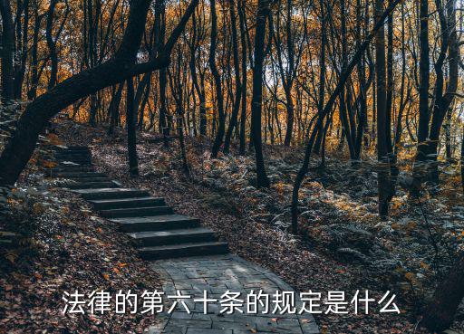 法律的第六十條的規(guī)定是什么