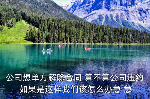 公司想單方解除合同 算不算公司違約 如果是這樣我們該怎么辦急 急