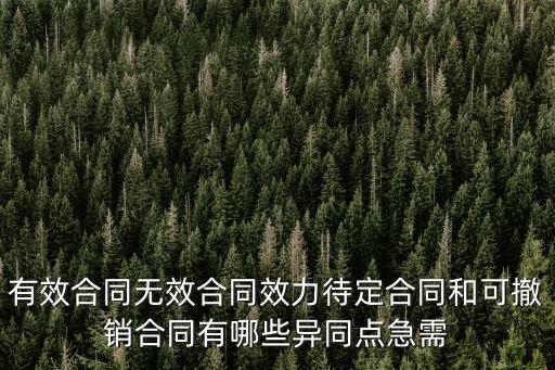 有效協(xié)議與無(wú)效協(xié)議的區(qū)別，有效合同與無(wú)效合同的區(qū)別
