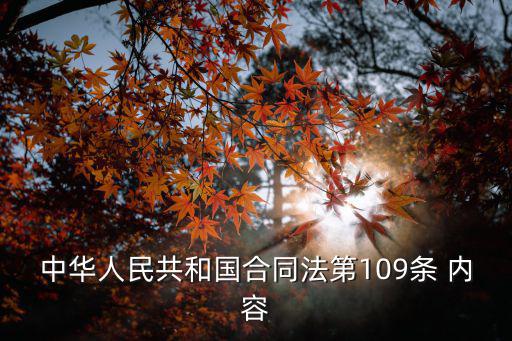 合同法第一百零九條，合同法第91條是什么