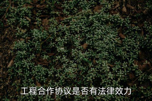 工程合作協(xié)議是否有法律效力