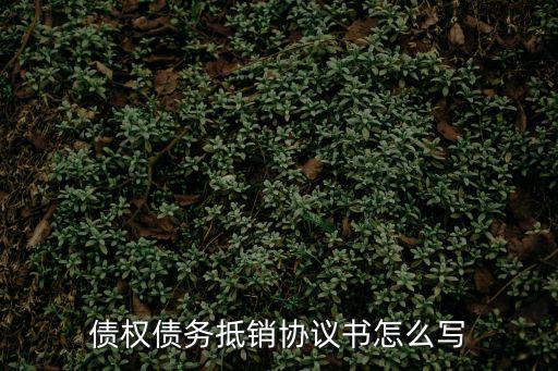 個人債務(wù)糾紛和解協(xié)議書，調(diào)解協(xié)議怎么寫