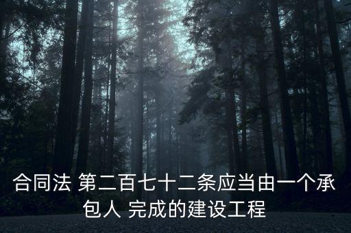 合同法 第二百七十二條應(yīng)當(dāng)由一個(gè)承包人 完成的建設(shè)工程