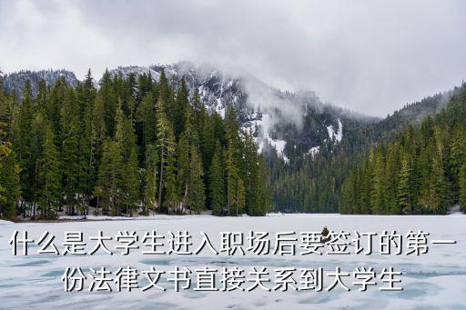 大學(xué)生法律文書寫一個合同，什么是大學(xué)生進(jìn)入職場后要簽訂的第一份法律文書直接關(guān)系到大學(xué)生