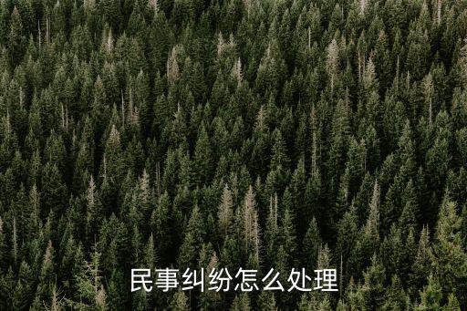 民事糾紛怎么處理