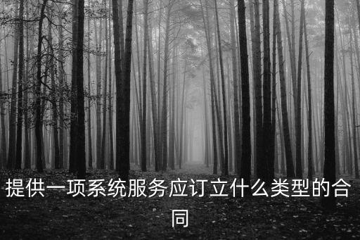 提供一項(xiàng)系統(tǒng)服務(wù)應(yīng)訂立什么類型的合同